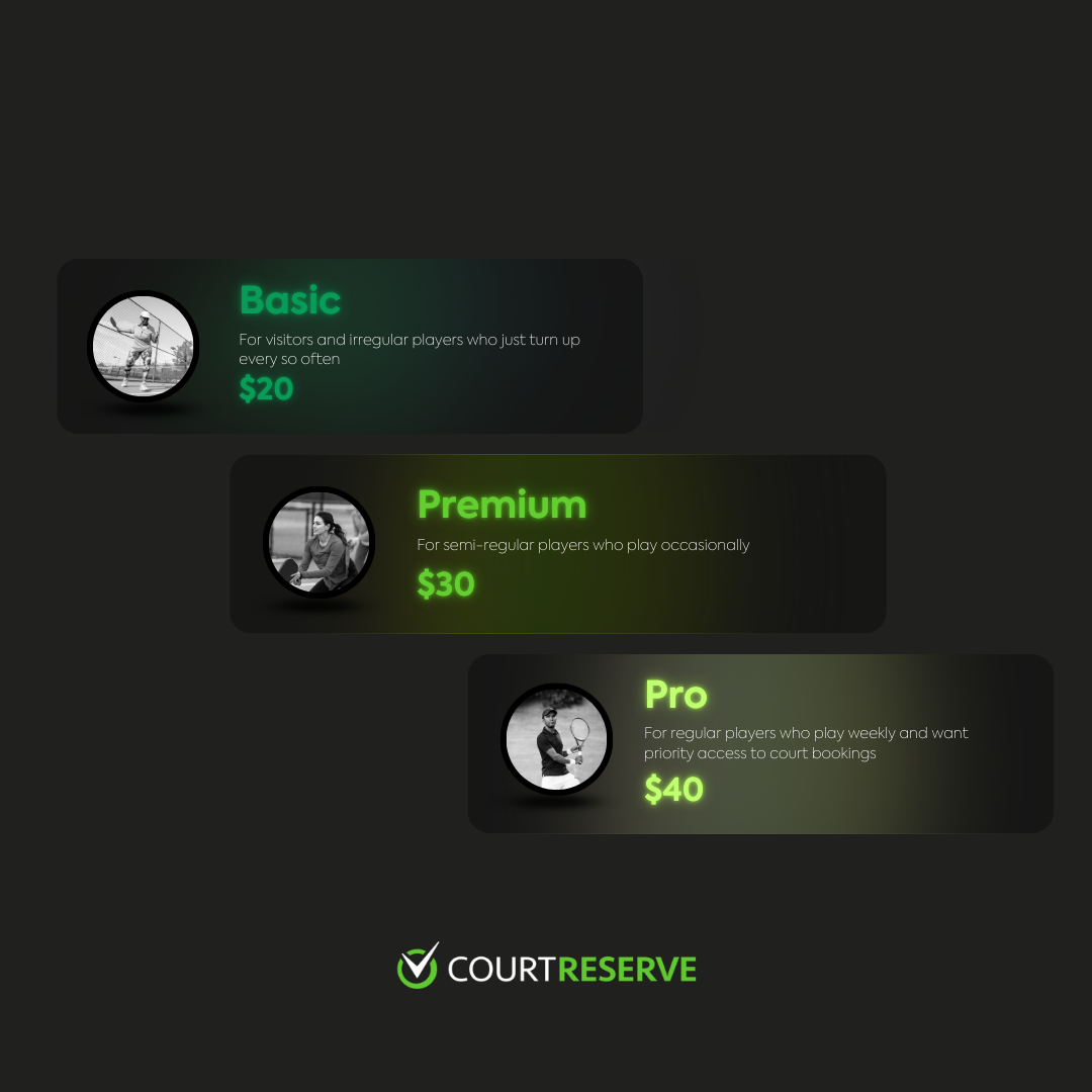 Visual example of a pickleball tiered membership setup