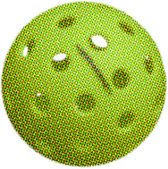 pickleball